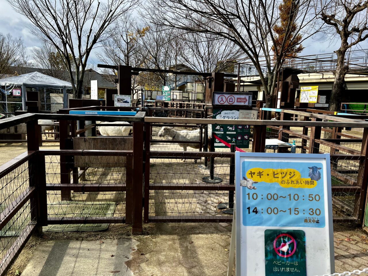 京都市動物園のふれあいエリアです。