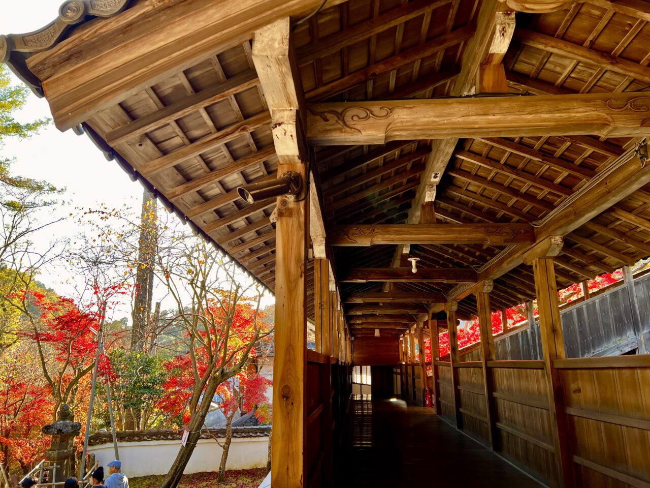 神峯山寺、本堂の廊下と紅葉の写真です。
