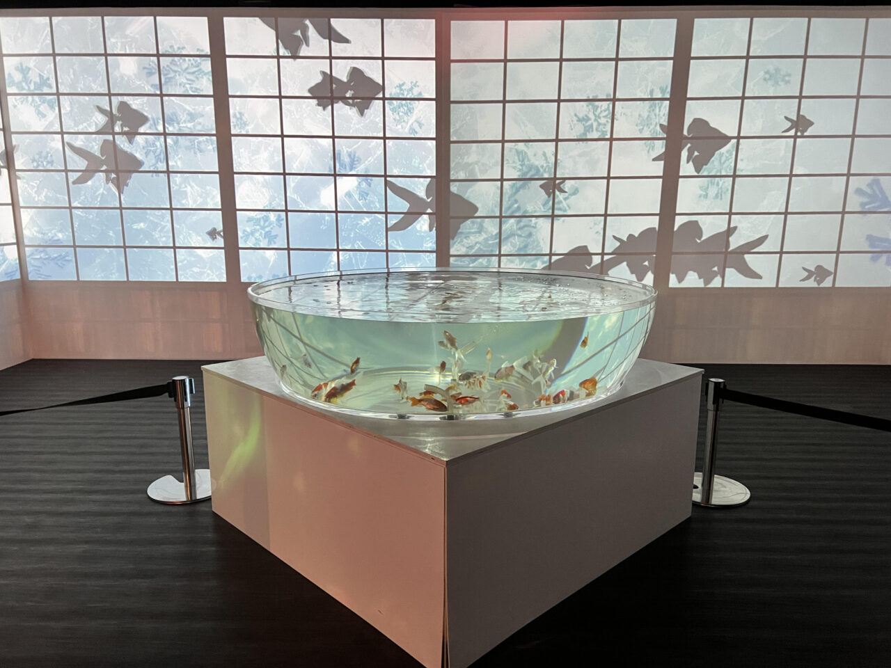 奈良金魚ミュージアムの写真です。