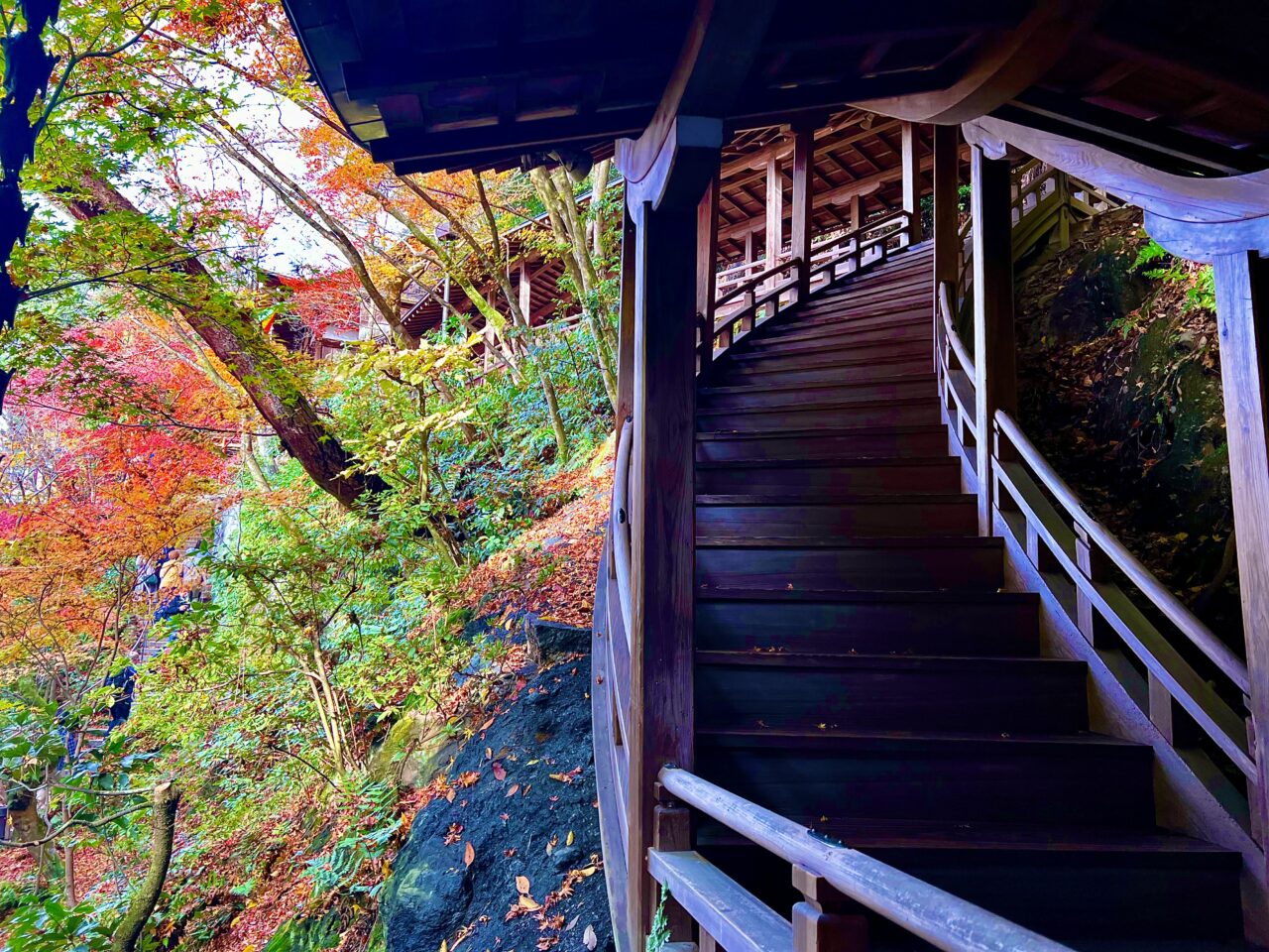 永観堂の曲がった階段と紅葉です。