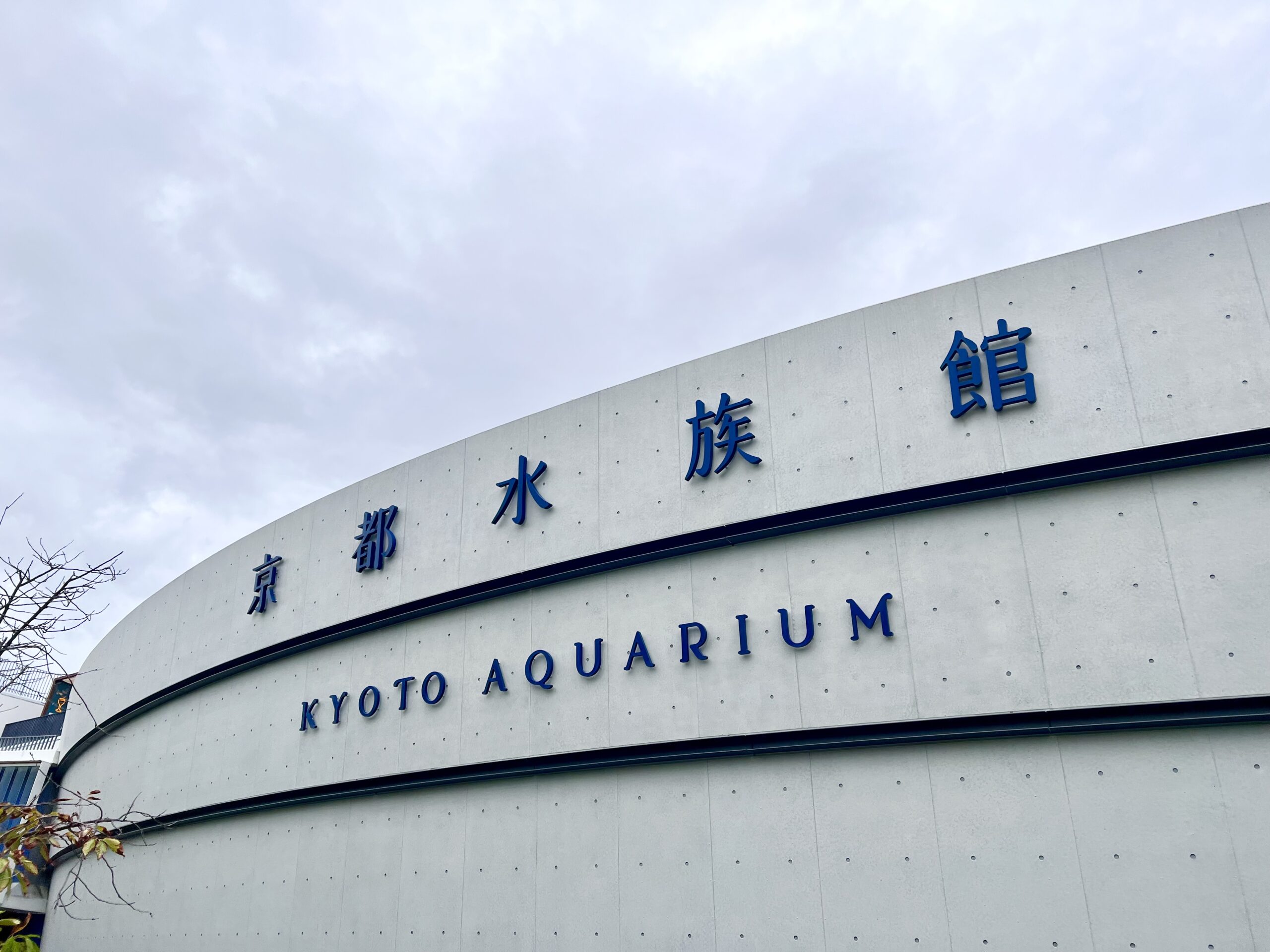 京都水族館は年パスがおすすめ！割引・特典・限定グッズ・見どころなど ...