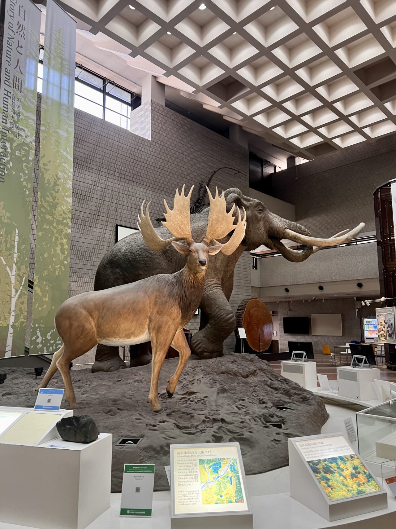 大阪市立自然史博物館のナウマンゾウのモニュメント